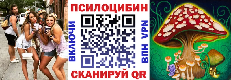 Псилоцибиновые грибы Cubensis  даркнет сайт  Лосино-Петровский 